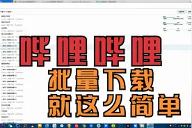 哔哩哔哩（bilibili）批量下载就这么简单视频封面