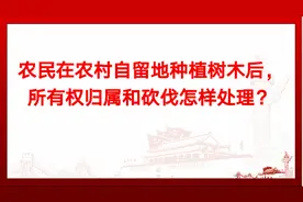农民在农村自留地种植树木后，所有权归属和砍伐应该怎样处理？视频封面