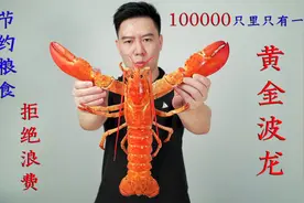 万里挑一的黄金波龙，金灿灿的很漂亮，我要把它做成吃不起的样子