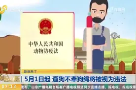 养犬人看过来！出门遛狗不牵狗绳将违法，新规于5月1日起正式实施视频封面