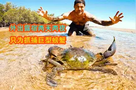 男子徒手抓捕巨型螃蟹，只为最后一只巨无霸，最后感觉太美味了视频封面