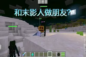 我的世界：只需一个帽子，就可以和末影人做朋友？