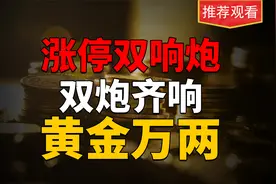 民间高手绝密战法，涨停双响炮，双炮一响，黄金万两，散户必看！视频封面