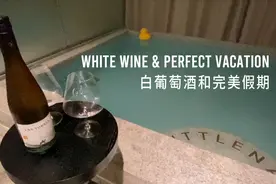 探访新开业设计民宿，选一支清爽的白葡萄酒，与假期搭配堪称完美视频封面
