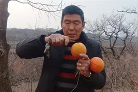 山沟惊现黄色果实，大叔好奇打开一探究竟，有人知道这是什么吗视频封面