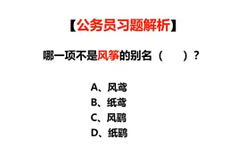 公务员常识题，风筝的叫法一共有多少种，它的别名是什么视频封面