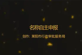 名称自主申报视频封面