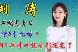 刘涛：不就是老公负债5个亿吗？我用4年时间就全部还完了视频封面
