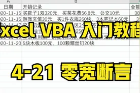 Excel VBA入门教程，正则表达式求和杂乱开销记录，零宽断言视频封面