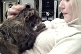 俄罗斯萌妹子养了只大胖猫，没事就抱在怀里玩，又乖又甜也不调皮