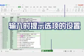在WPS表格中输入时自动提示推荐下拉选项的关闭和打开方法