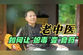 80岁老中医擅用蛇毒！毒蛇泡酒怎么喝？究竟有哪些奇效？视频封面