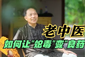 80岁老中医擅用蛇毒！毒蛇泡酒怎么喝？究竟有哪些奇效？视频封面