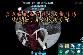 方舟生存进化手游：击杀猛犸象获得毛皮制作传说装备差点把我冻死
