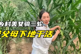 乡村美女骑三轮车，带父母下玉米地干活视频封面