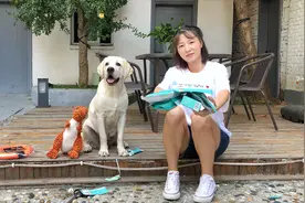 粉丝小姐姐给拉布拉多寄了一箱礼物，打开后瞬间觉得狗子太幸福了视频封面