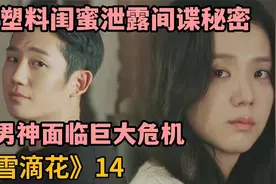 塑料闺蜜泄露间谍秘密，整栋宿舍面临巨大危机《雪滴花》第14集视频封面