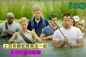 上百条蟒蛇聚集在一起，形成巨蟒交配球视频封面