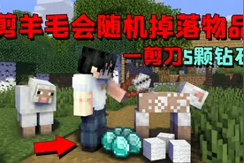 我的世界mod：一剪刀下去竟掉落5颗钻石！教你如何正确剪羊毛