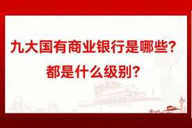 我国有哪九大商业银行？都是什么级别？
