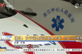 湛江：女子误食蓝环章鱼中毒 仍在ICU抢救视频封面