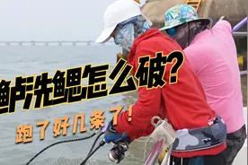 小姐姐第一次出海，碰到大鱼手忙脚乱，还能不能拉起大鲈？视频封面