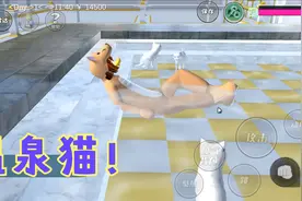 搞笑糯米姐：这是温泉猫！猫咪跳舞吧！视频封面