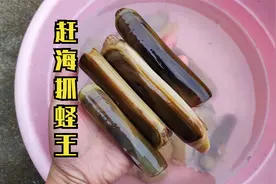 赶海挖大蛏王的方式有多种，可以用钩子钓，也可以用铲子挖视频封面