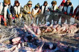 查干湖冬捕细节揭秘，捕鱼为何用马拉？1000米的渔网如何下水？视频封面