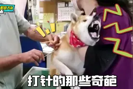 打针是为了治病，你的反应，仿佛是要你的命