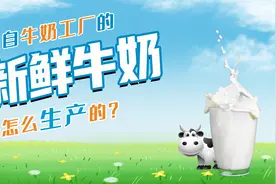 新鲜牛奶是怎么生产的？经历这4道工序，生奶1分钟就能变鲜奶视频封面