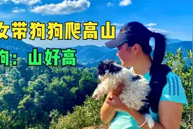 美女带着狗狗爬上海拔900米的凤凰山，可怜小狗狗累的直吐小舌头视频封面
