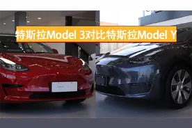 选择困难症看过来 特斯拉Model 3和Model Y怎么选视频封面
