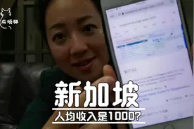 新加坡人均收入1000元，为啥还有很多中国人去打工？视频封面