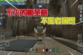 我的世界：不死者佩恩的王殿，广阔程度和伊莲的教堂有得一拼？