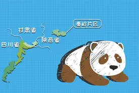 大熊猫的颜色都是黑白配吗视频封面