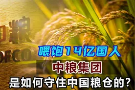 喂饱中国14亿人口，中粮集团是如何凭一己之力，守住中国粮仓的？视频封面