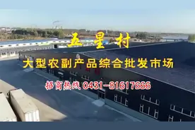 好消息！长春市宽城区五星村人益水果批发市场营业啦！视频封面