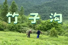 临夏州康乐县竹子沟，为什么找不到一根竹子？回族老乡给出答案！视频封面