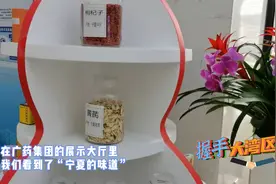 握手大湾区③|百年老字号“广药制造”+名满天下的宁夏枸杞期待吗视频封面