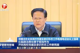 安徽省高校党建及意识形态工作电视电话会议召开视频封面