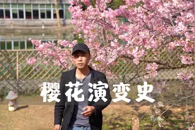 樱花演变史，原产中国喜马拉雅，至今已改良了2000年视频封面