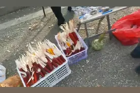 万物皆可盘来看看玉米是怎么盘的视频封面