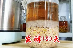 自酿半固态小曲五粮酒，经过180天发酵香气四溢挡不住视频封面