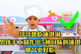 哥哥想吃冰淇淋,小男孩手工制作出5种口味的冰淇淋,哪个更好吃视频封面
