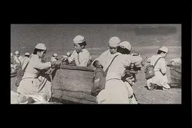 四野百万大军，为何会有3万日本人？回国后命运坎坷视频封面