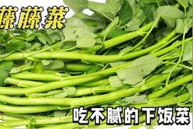 藤藤菜杆子别扔，四川特色下饭做法，脆嫩不发黄，端上桌就被抢光视频封面