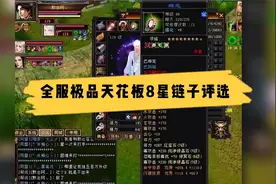 天龙八部怀旧服全服极品天花板四属性血上限体力大8星项链评选视频封面