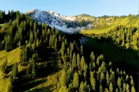 我可以原谅所有事 原谅所有人 但我不能原谅自己以前所付出的真心