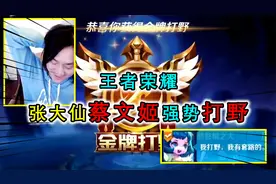 张大仙打成名之战？首创蔡文姬打野，3辅助阵容最终取胜视频封面
